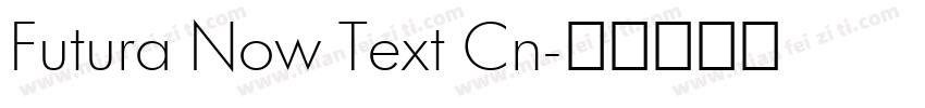 Futura Now Text Cn字体转换